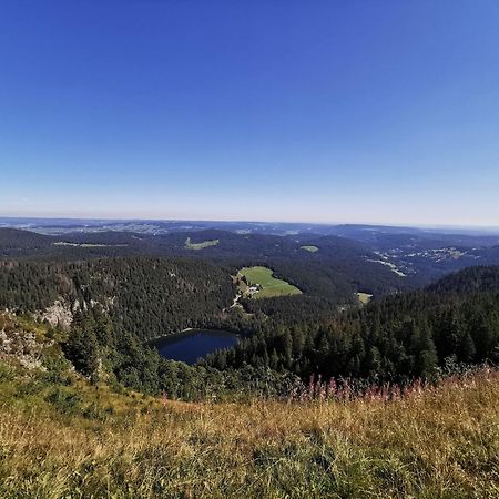 Fewo 1 - Residenz Schauinsland - Mit Sauna, E-Ladestation, Todtnauberg, Bei Feldberg Ngoại thất bức ảnh