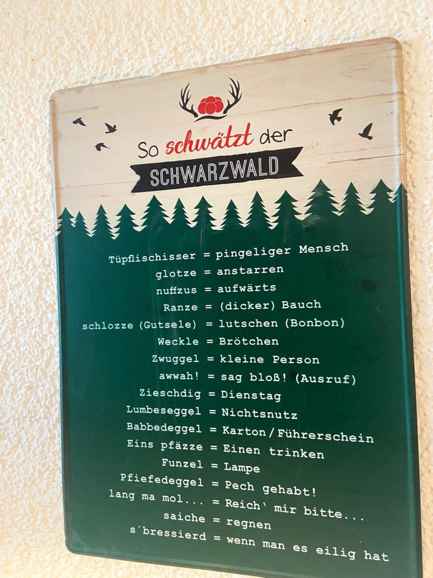 Fewo 1 - Residenz Schauinsland - Mit Sauna, E-Ladestation, Todtnauberg, Bei Feldberg Ngoại thất bức ảnh